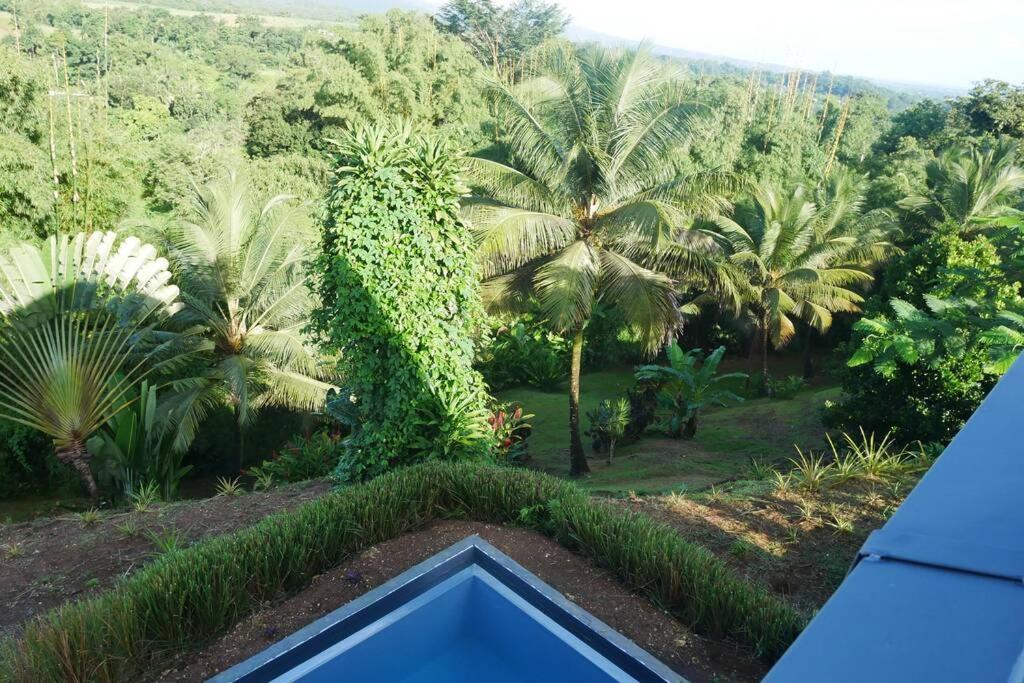 Villa Kumquat Avec Piscine Et Vue Sur Les Montagnes Petit-Bourg Eksteriør billede